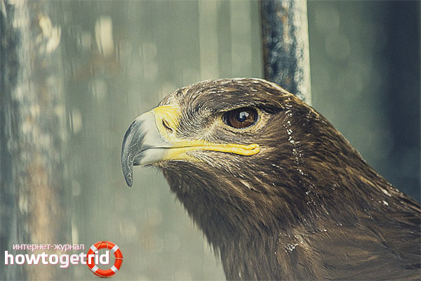 Nutrition of the burial ground