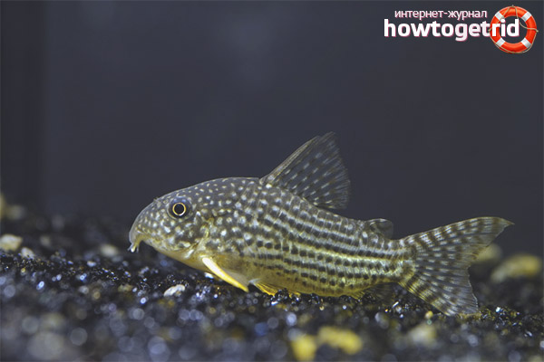 Conditions for a comfortable stay