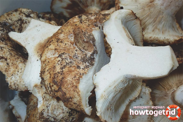 How to cook white preloads