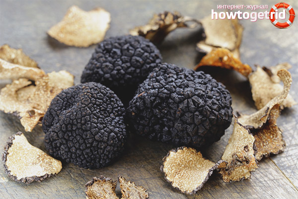 How to cook summer truffle