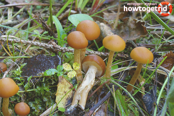 Difference of a galley bordered from a summer open-air