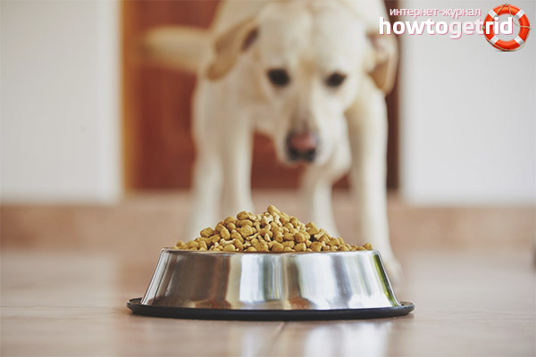 Hypoallergenic food for dogs