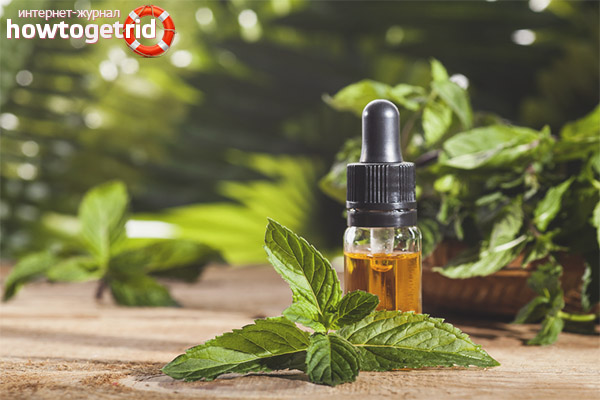 Peppermint Hair Masks