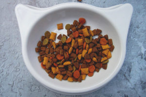 Is it possible to soak dry cat food