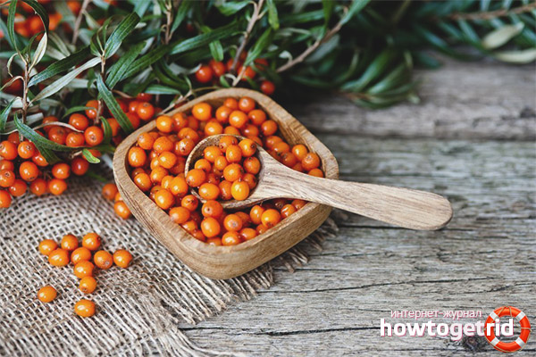 What is useful sea buckthorn for women and men