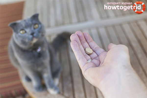 Chemical soothing feline preparations