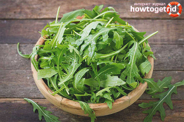 How to keep arugula for the winter