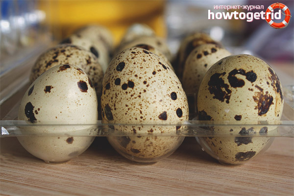How to choose quail eggs