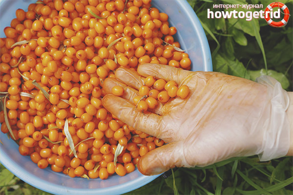 Is it possible to eat sea buckthorn with pits?