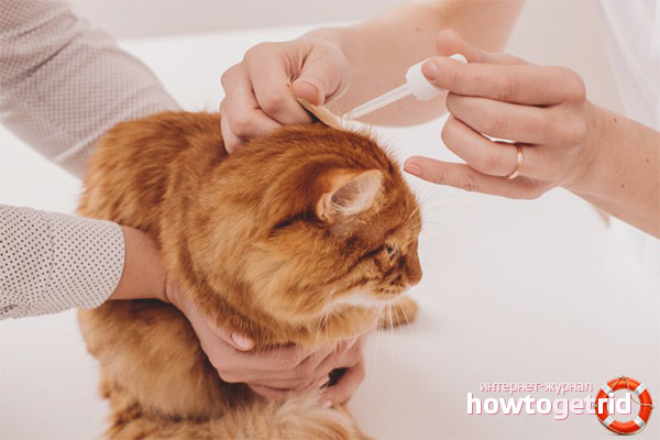 Can I clean my ears with hydrogen peroxide?