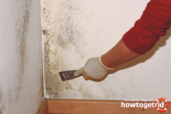 Alternative Formenmanagementmethoden