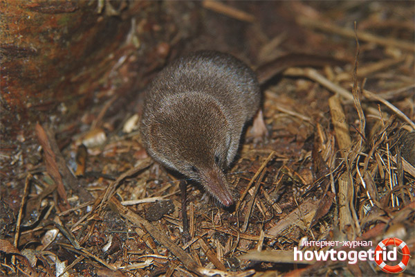Kluger Lebensstil und Ernährung