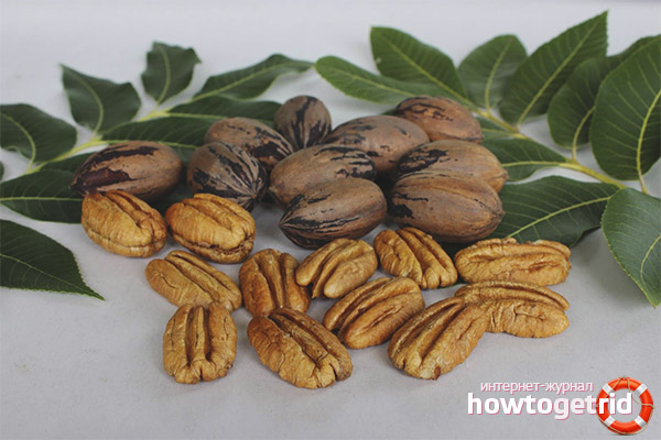 Nutritional Information of Pecan