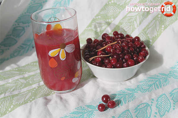 Slimming jelly recipes