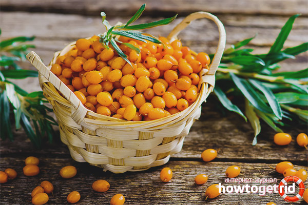 Sea Buckthorn Recipes