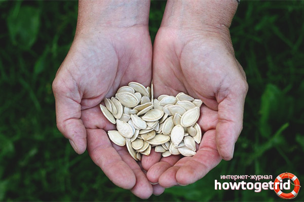 Kürbiskerne für Prostatitis