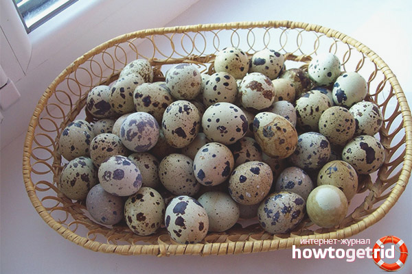 Combien d'oeufs de caille peuvent être consommés par jour