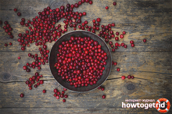 Lingonberry for colds