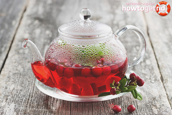 Lingonberry Tea