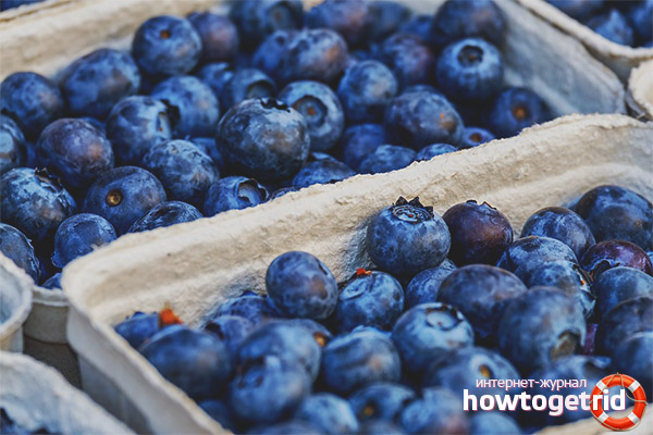 What is the difference between blueberries and blueberries