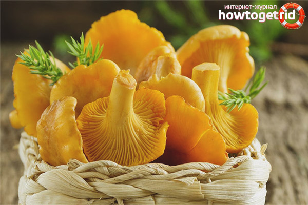 The action of the chanterelles