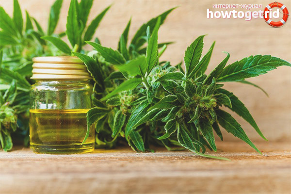 L'utilisation de l'huile de chanvre en cosmétologie