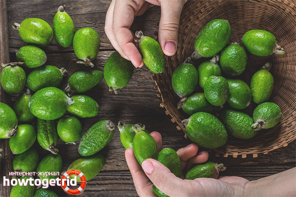 How to cook feijoa for the winter