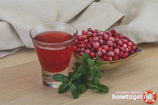 How to apply tincture on lingonberry