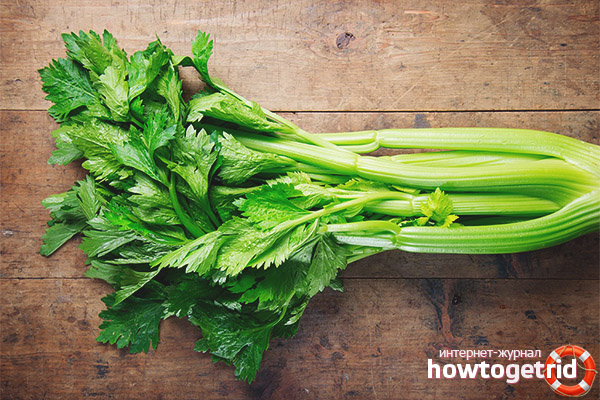 Celery Leaves and Stalk