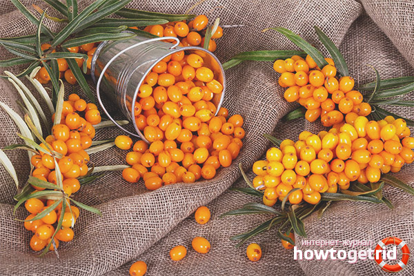 Is it possible to eat sea buckthorn with diabetes