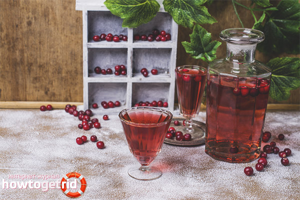 Lingonberry tincture on vodka
