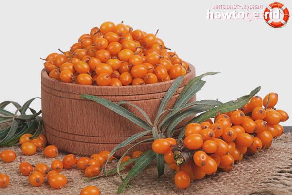 Sea buckthorn during pregnancy and for children