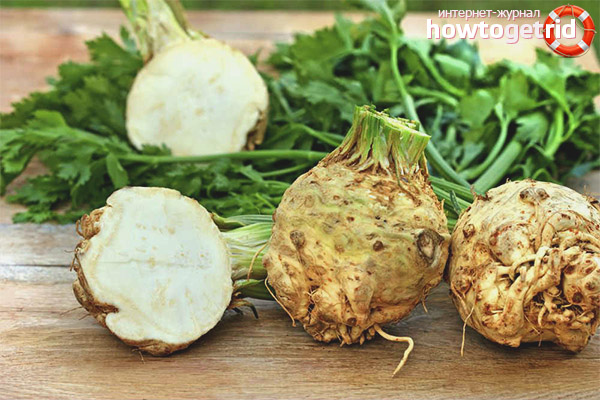 Healthy celery root recipes