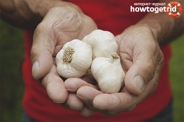 The benefits of garlic for the male body