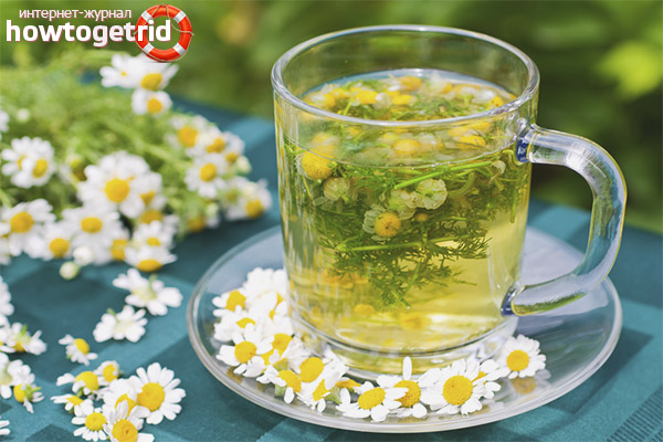 Contre-indications thé à la camomille