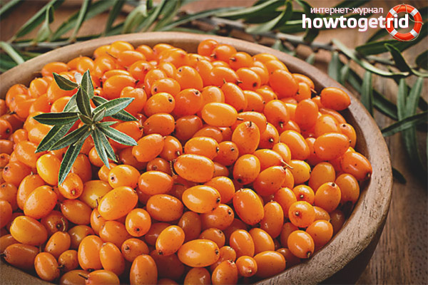 Dangers of sea buckthorn in diabetes