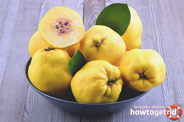 Winter quince blanks