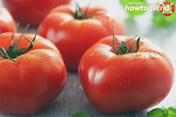 Maladies et ravageurs des tomates Dessert aux fraises