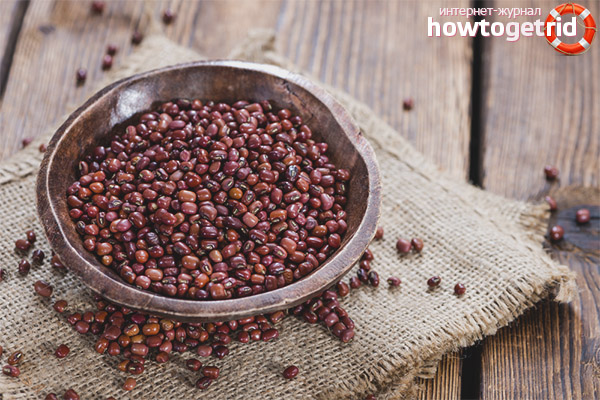 What can be cooked from red beans