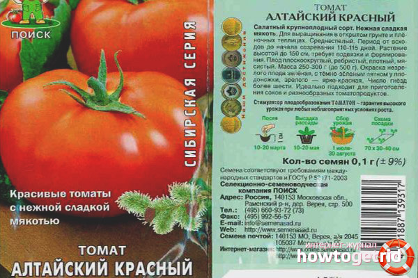 Features of planting tomato Altai red