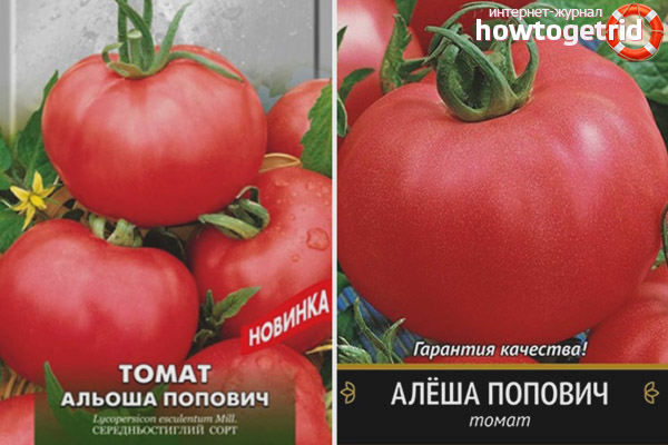 Sowing tomatoes alesha popovich