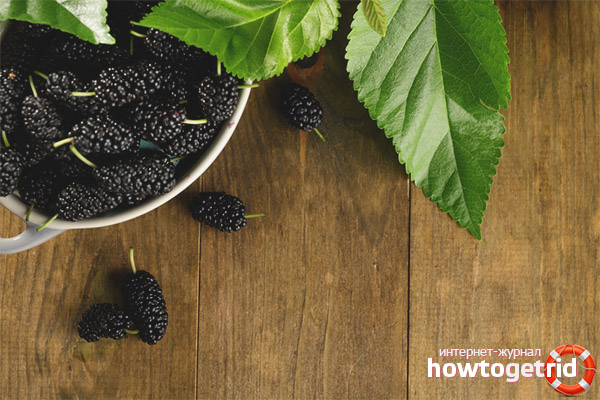 Mulberry in diabetes