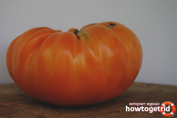 Tomate Hawaiian Pineapple