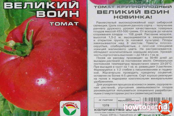 Tomate Great Warrior