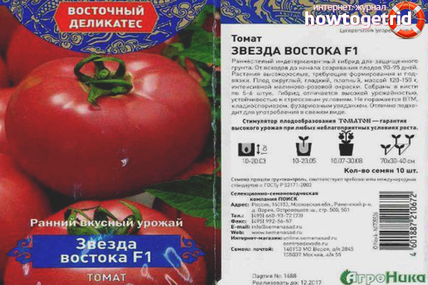 Tomatenstern des Ostens