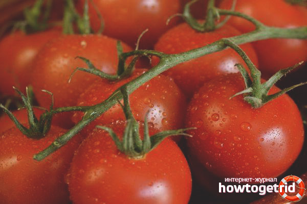 Bedingungen für den Anbau von Tomaten Pinsel F1