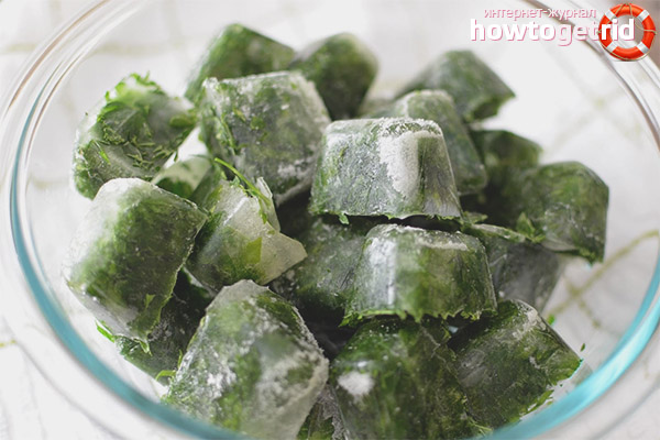 Face Parsley Ice Cubes