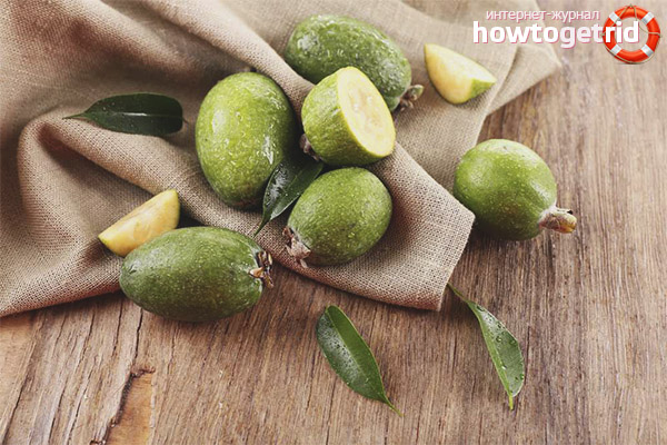 Feijoa benefits for losing weight