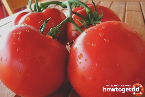 Sorten Tomaten Händler F1