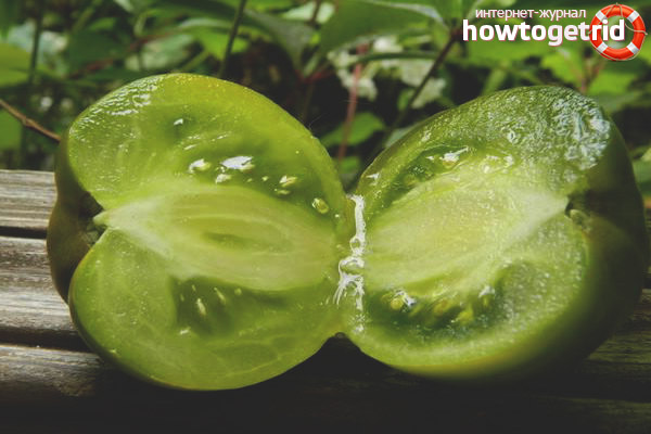 Variétés de tomates Princesse grenouille